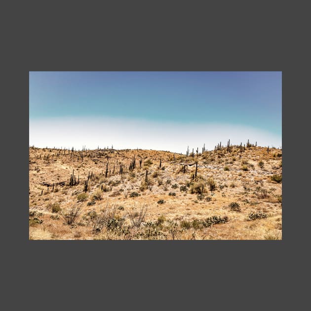 Apache Trail Scenic Drive View by Gestalt Imagery