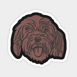 Cockapoo,Crazy, Chocolate Cockerpoo Magnet