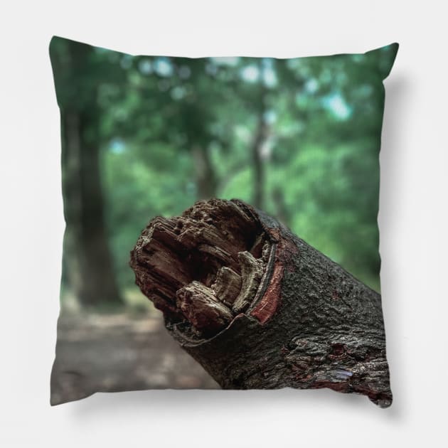 Log Pillow by Scala Ad Astra Forum