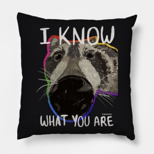 I Know What You Are Pillow