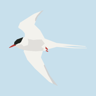 Graphic Nature - Arctic Tern flight T-Shirt