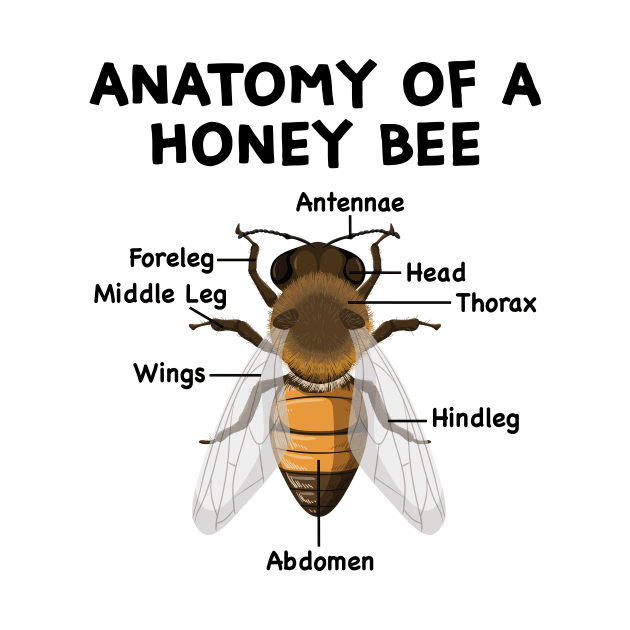 Anatomy of a Bee Beekeeper Beekeeping by Wakzs3Arts