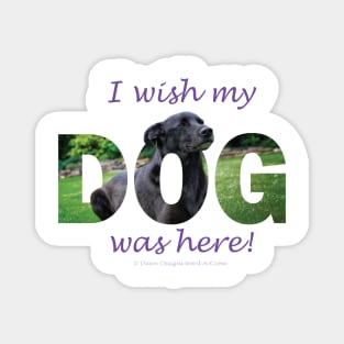 I wish my dog was here - black labrador oil painting word art Magnet