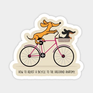 Dachshund riding a bicycle Magnet