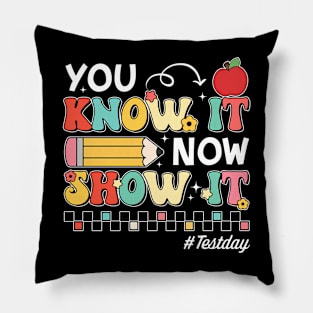 Groovy You Know It Now Show It Testing Day  Kids Funny Pillow