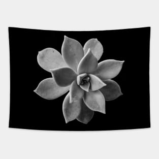 Stone flower Tapestry