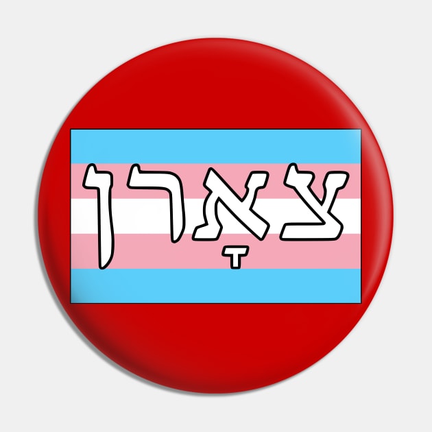 Tsorn - Wrath (Trans Pride Flag) Pin by dikleyt