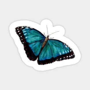 butterfly Magnet