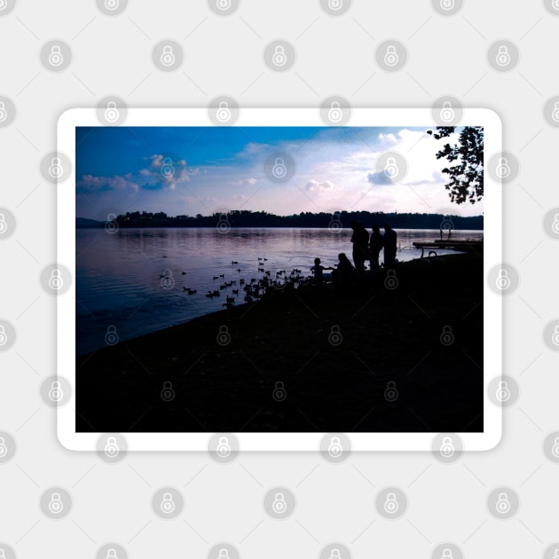 Lake silhouette family with duck and swan photography Magnet by marghe41