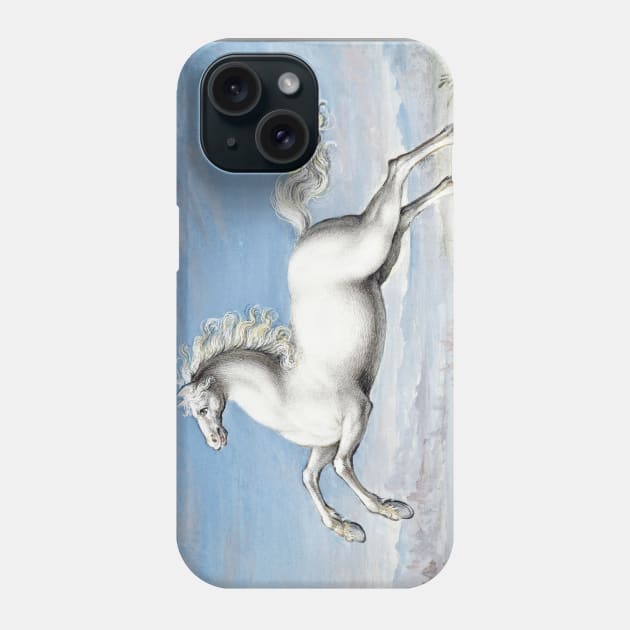 white horse vintage paint Phone Case by Phantom Troupe