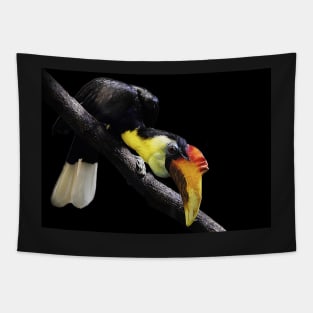 Wrinkled hornbill Tapestry