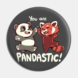 You are Pandastic Pin