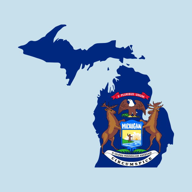 Disover MI State Flag, Proud Michigan Native - Michigan - T-Shirt