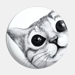 Cute Cat Drawing Pin