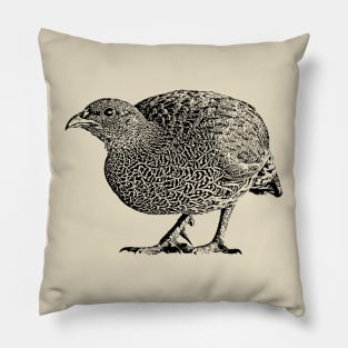 Natal Spurfowl | African Wildlife Pillow