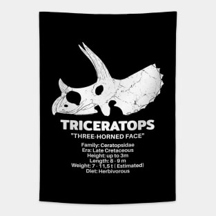 Triceratops Fact Sheet Tapestry