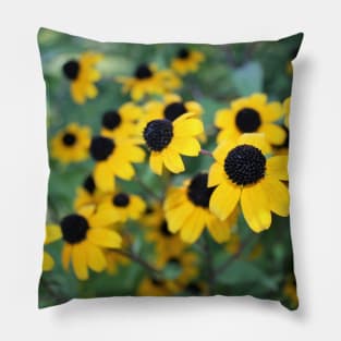 Black-eyed Susan Pillow