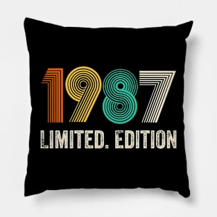 1987 Vintage 1998 Birthday Retro 1987 For Men Women born in 1987 Pillow