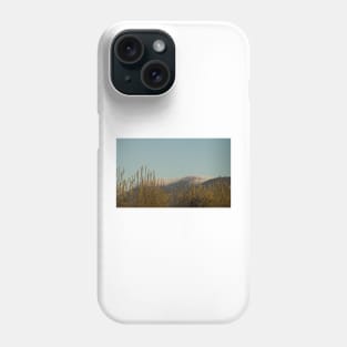 91416 high winds Phone Case