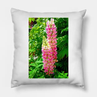 Lupine Pretty in Pink Pillow