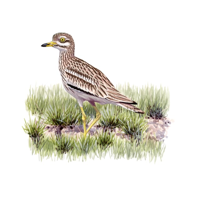 Eurasian Thick-knee by kokayart