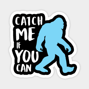 Catch me if you can Magnet