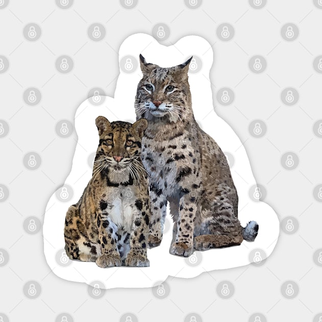 wild cats Magnet by obscurite