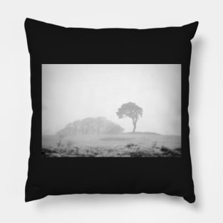 Lone pine in fog Pillow