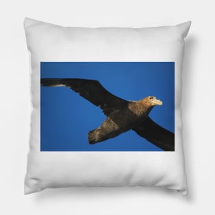 Giant Petrel Flying High Pillow