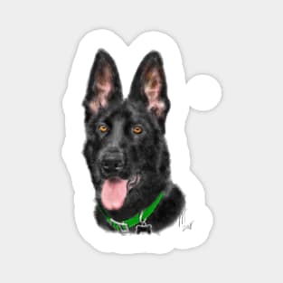 Smiling Black German Shepherd Magnet