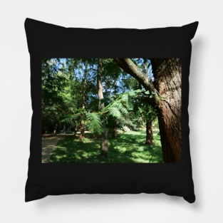Tree leaves and sunlight - what more you want from nature Pillow