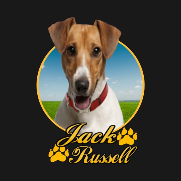 jack russell by petermurphy619