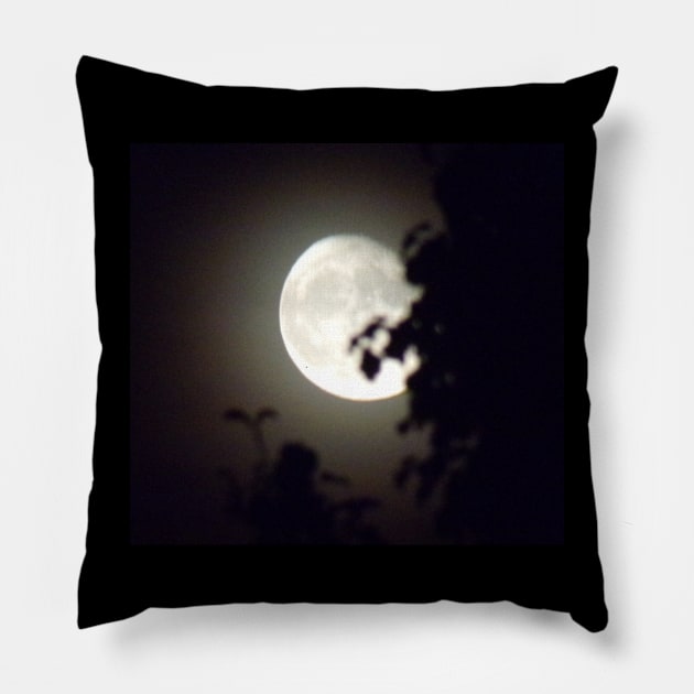 Moonlight Fun Pillow by Angie's Apparel