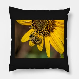 A Bee Gathering Pollin From a Sunflower Pillow