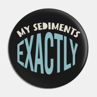 Geology Pun My Sediments Exactly Pin