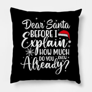 DEAR SANTA BEFORE I EXPLAIN HOW MUCH DO YOU KNOW Pillow