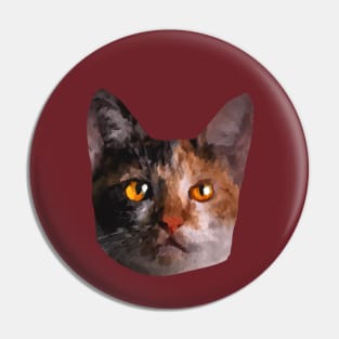 Cat with amber firey eyes painting Pin