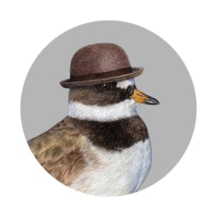 Common ringed plover T-Shirt