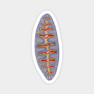 Diatom nr2 Magnet