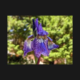 Purple winged flower T-Shirt