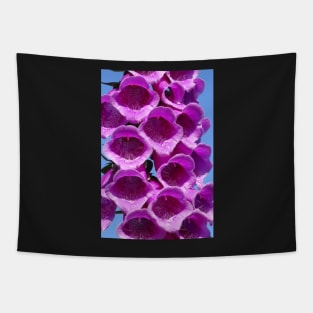 Foxglove Tapestry