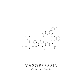 Vasopressin Molecular Structure - White T-Shirt