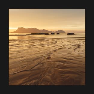 Golden light at beach in Borneo Bako national park Malaysia T-Shirt