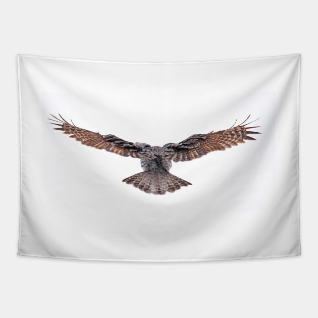 Wingspan - Great Grey Owl Tapestry by Jim Cumming