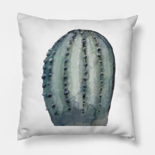 Lonely Cactus Pillow