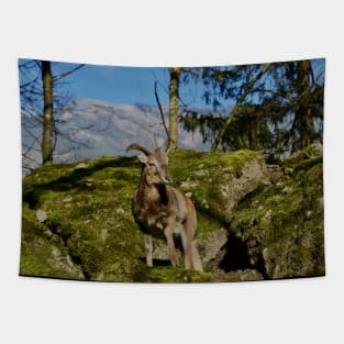 Swiss alps Tapestry