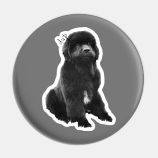 Duke The Newfie "Derp" Pin