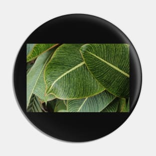 LeaFy Pin