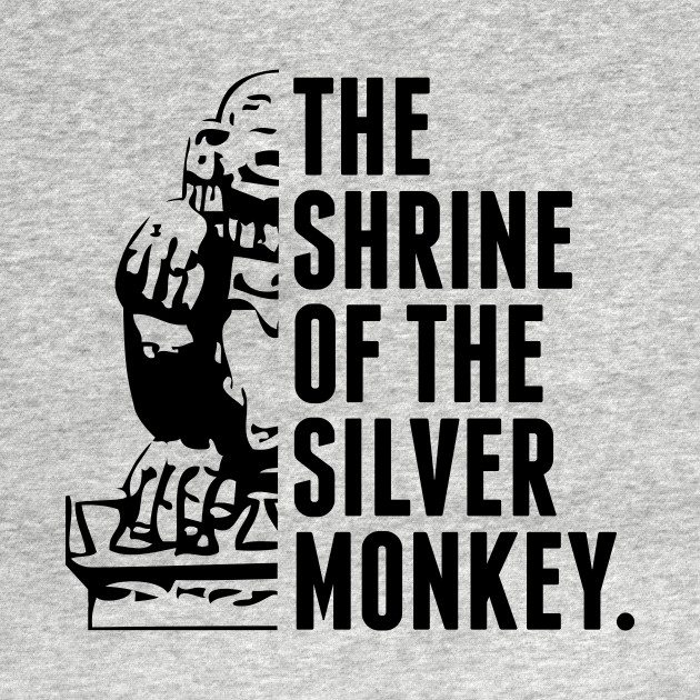 Discover The Shrine of the Silver Monkey! - Legends Of The Hidden Temple - T-Shirt