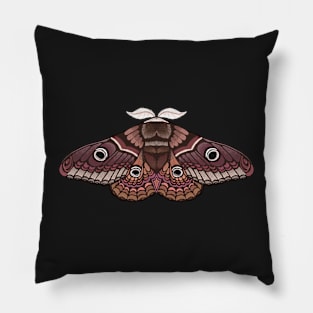 Moth sticker brown Pillow